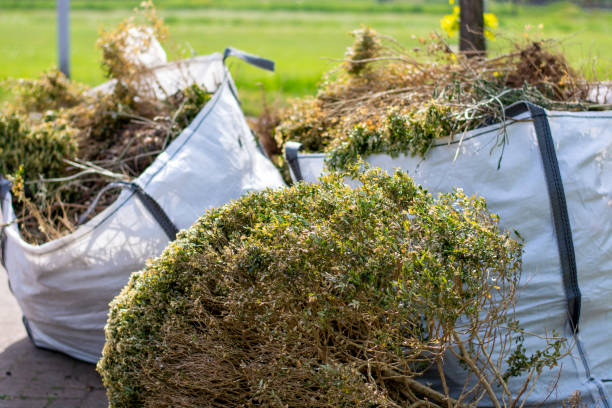 Best Basement Cleanout Services  in Midland City, AL
